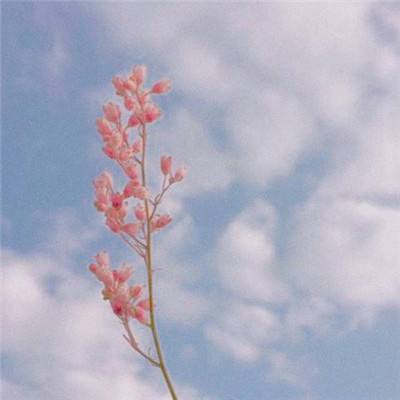 好运彩手机app下载