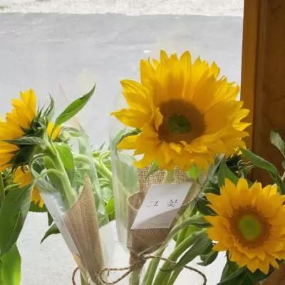 亚搏娱乐中心app下载